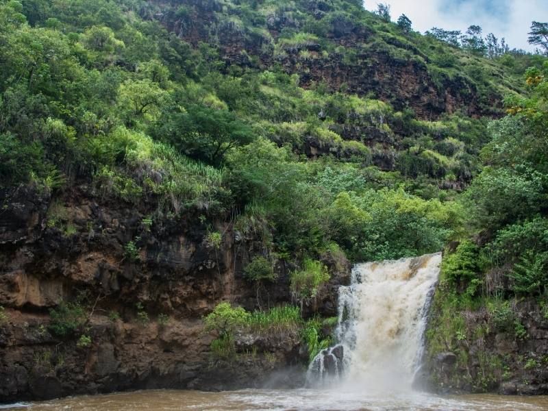 Many people plan time to hike to Waimea Falls and spend time swimming.