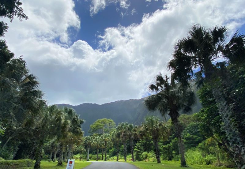 Ho’omaluhia Botanical Garden is a beautiful place to visit while in Oahu.