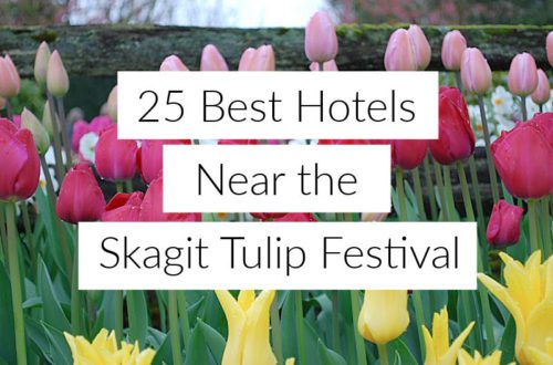 Best hotels near the Skagit Tulip Festival