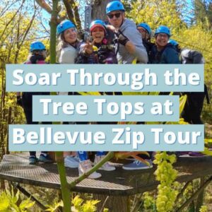 Bellevue Zip Tour Featured Image