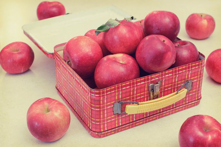 red plaid lunchbox with red apples