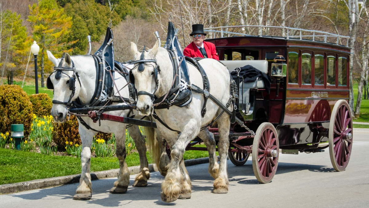 Mackinac Island horsedrawn carriage