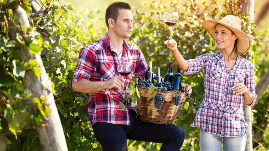 man and woman in wine vineyard