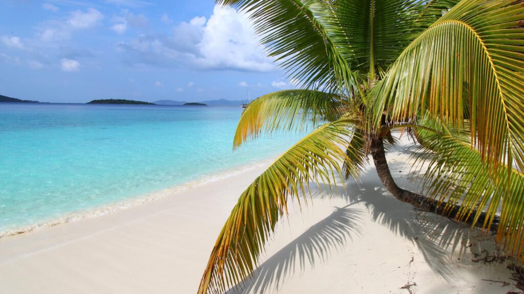 Solomon Islands beach