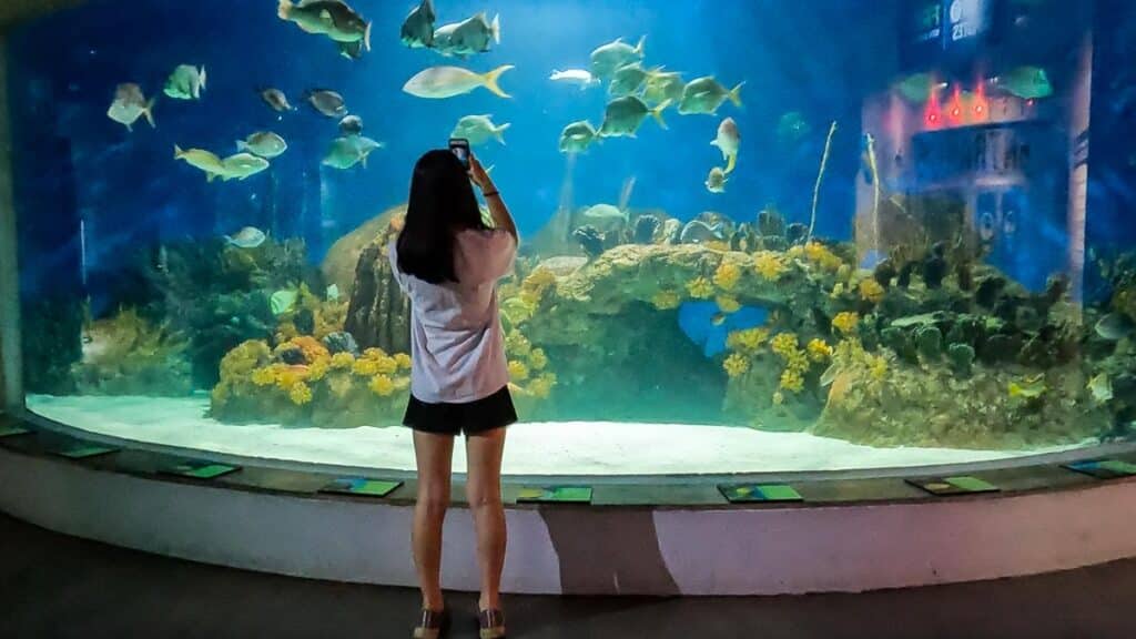 Aquarium - Scottsdale