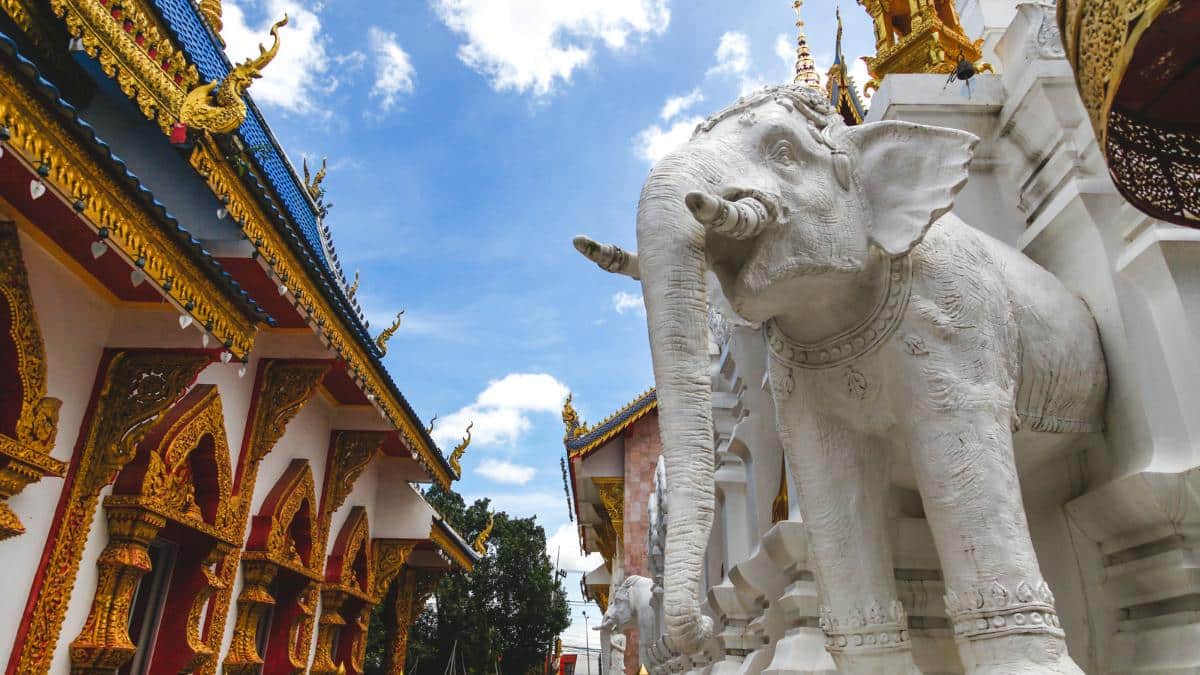 Sacred Elephant in temple in Sri Lanka