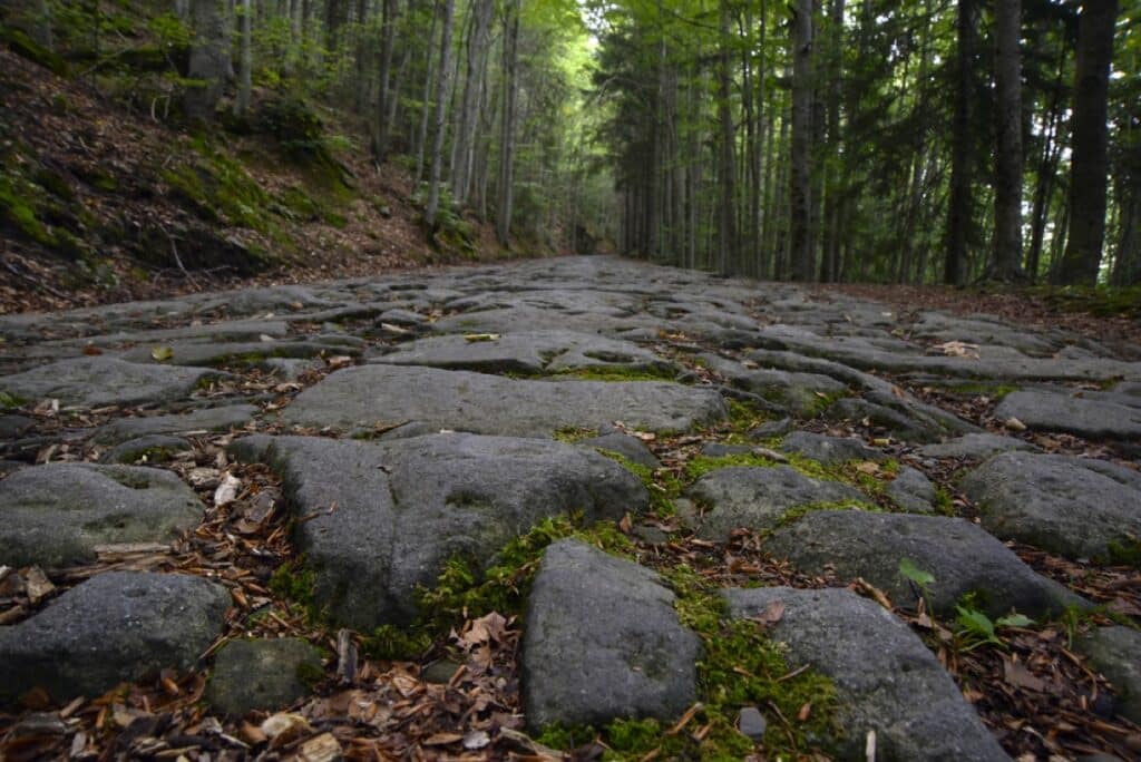 Ancient stone road in the woods, High Modenese Apennines