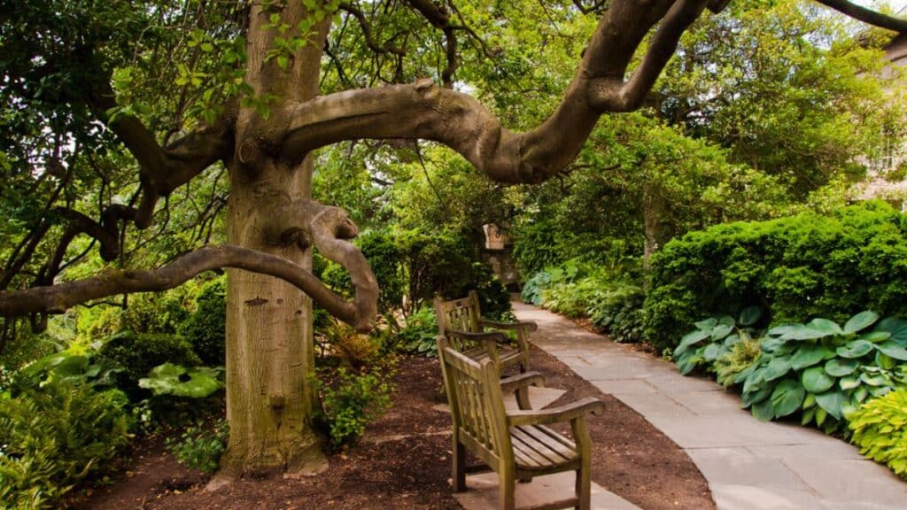 Photo of a Garden Path, Washington National Cathedral, Washington DC on a beautiful Summer Day