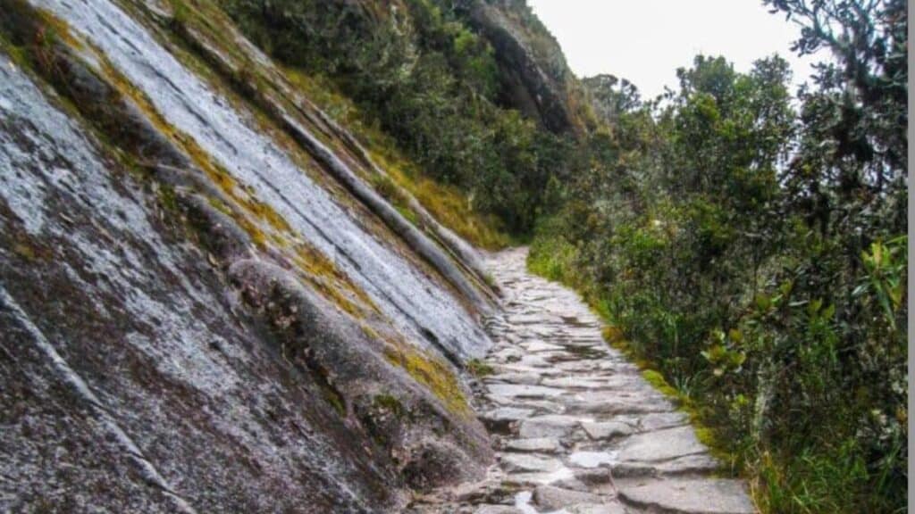 Hike on the ancient Inca Trail-