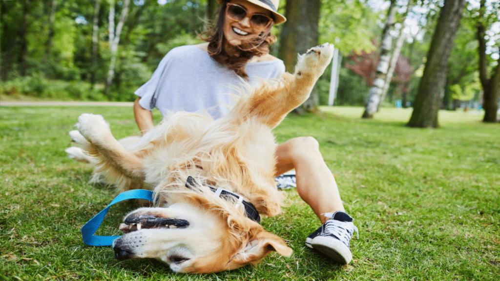 Joyful young woman playing with her dog outdoors in the park