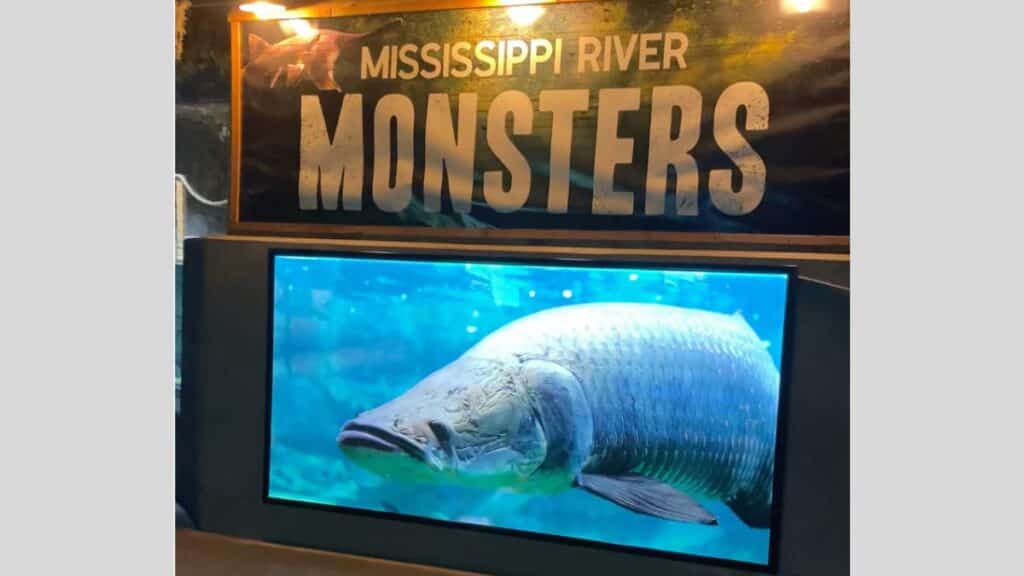 Odysea Aquarium Mississippi Monsters
