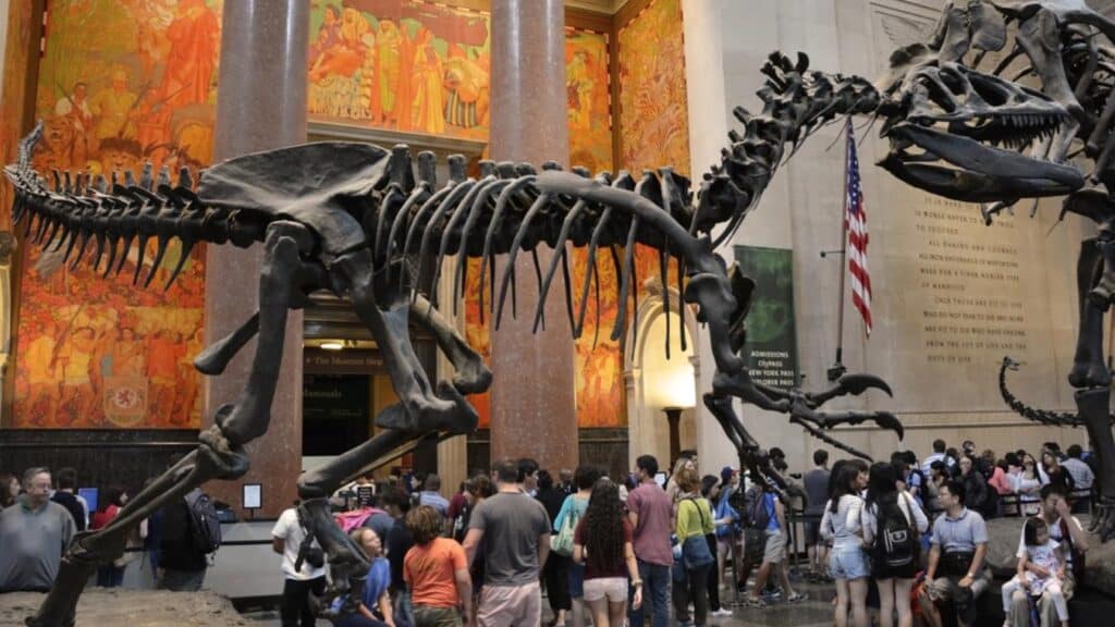 American Of Natural History Museum - DP