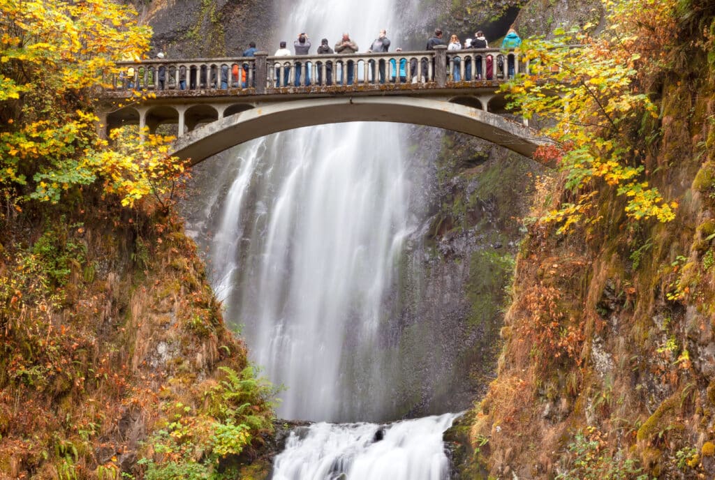 Columbia River Gorge, Oregon fall - Bill Perry