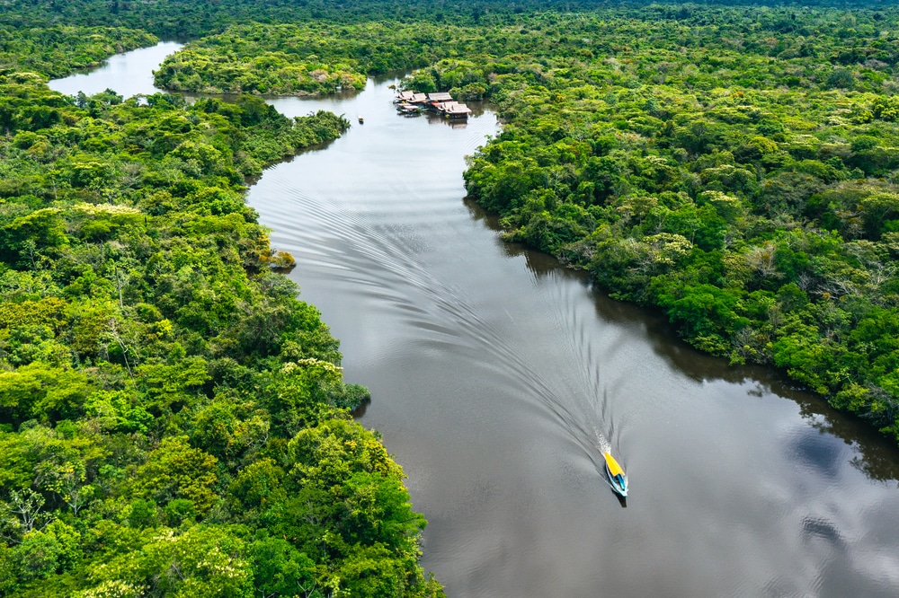 Amazon River - DP