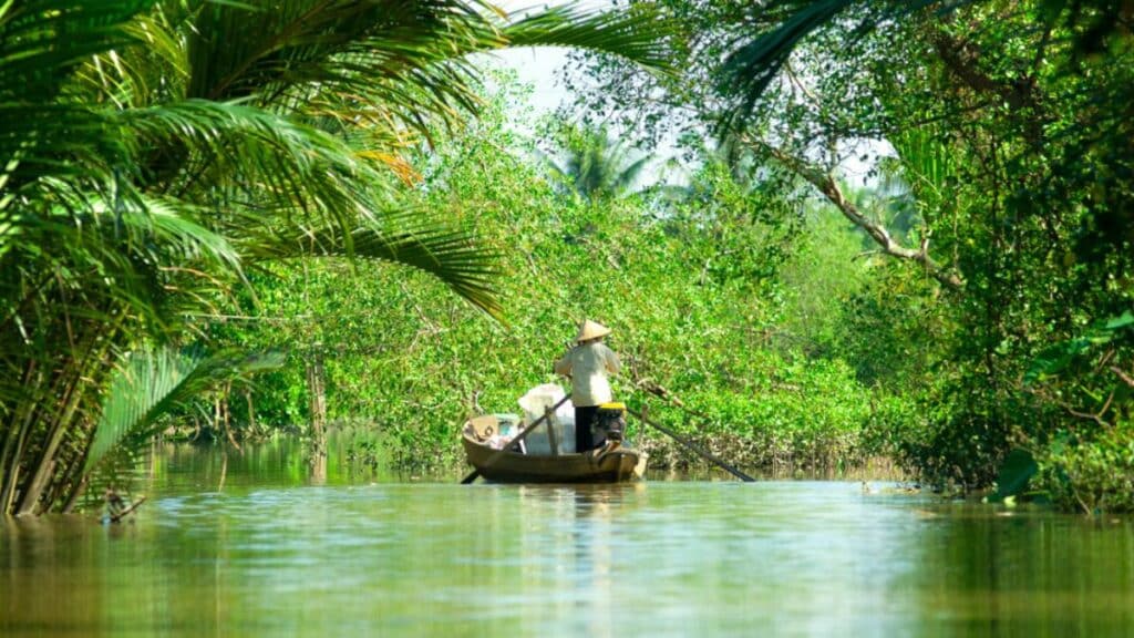 Mekong River - DP