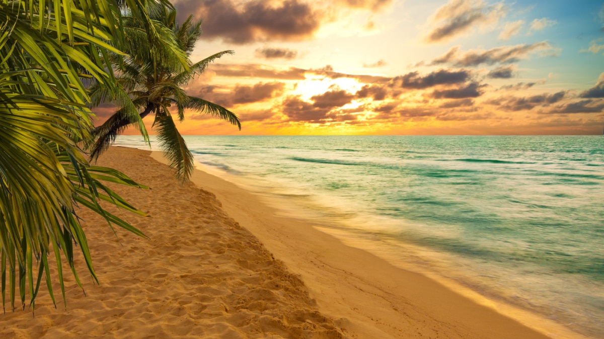 Mexican beach sunset