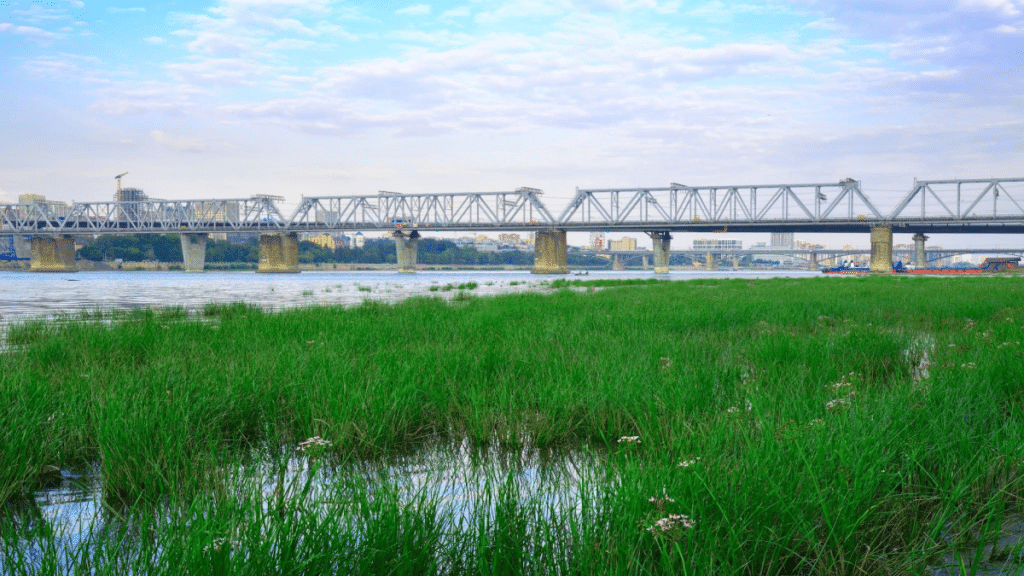 Trans-Siberian Railway Bridge
