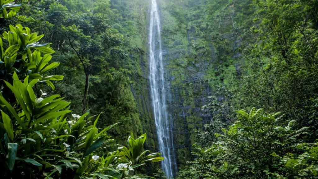 Waimoku Falls in Maui