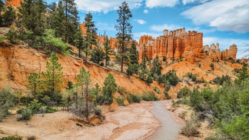 mossy-cove-trail-bryce-canyon-national-park - USAdventurer.com