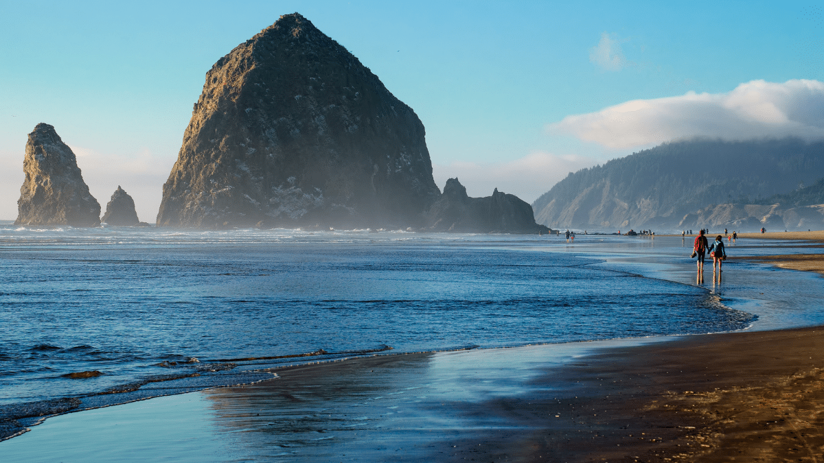 27 Best U.S. Beaches for Collecting Shells