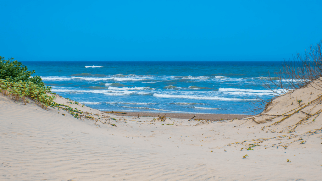 Padre Island National Seashore, Texas