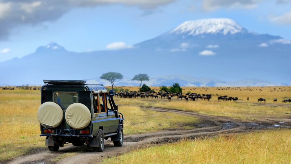 Serengeti National Park, Tanzania