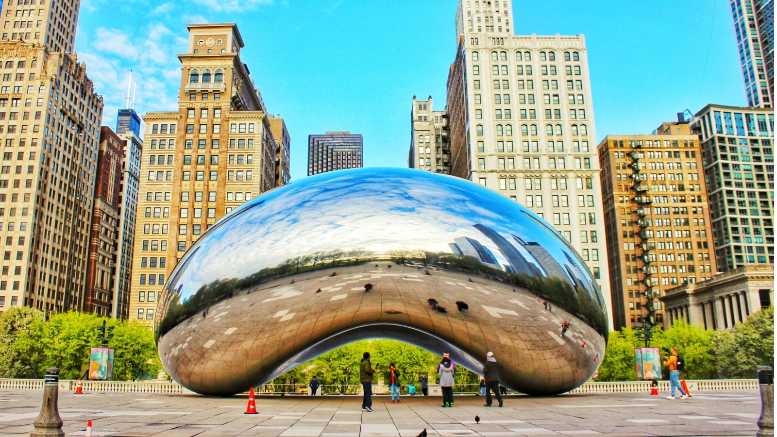 Chicago bean