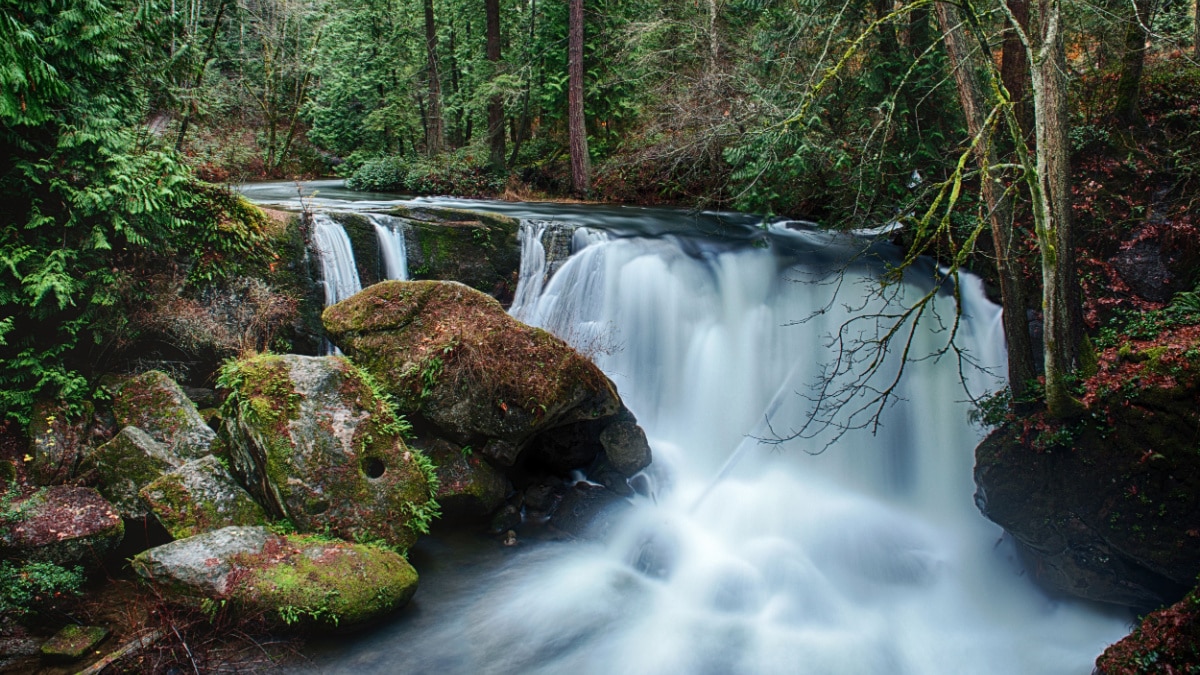 Whatcom Falls