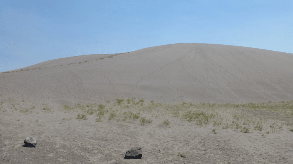 Antioch Dunes National Wildlife Refuge