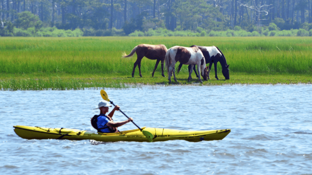 Chincoteague Island, Virginia