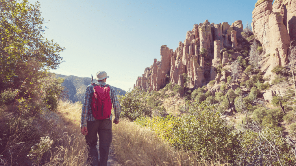 Chiricahua National Monument, Arizona, USA