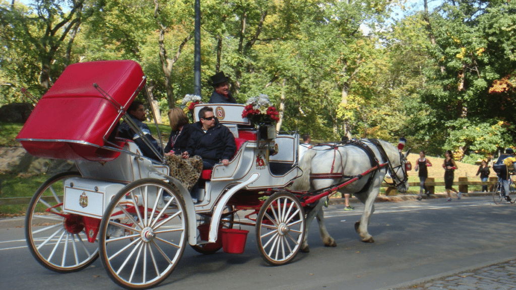 Horse-Drawn Carriage Rides in Central Park
