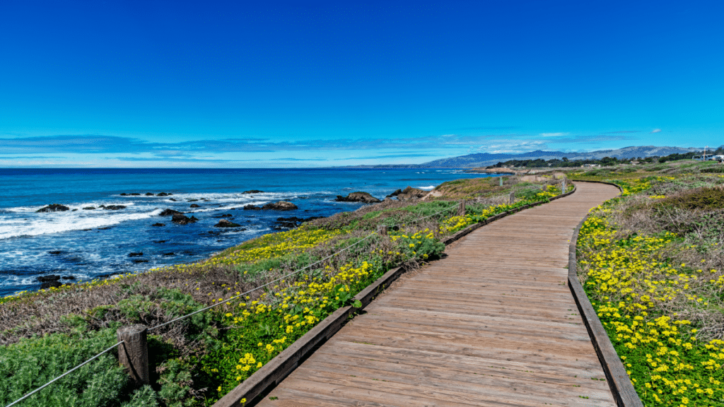 Moonstone Beach, Cambria California