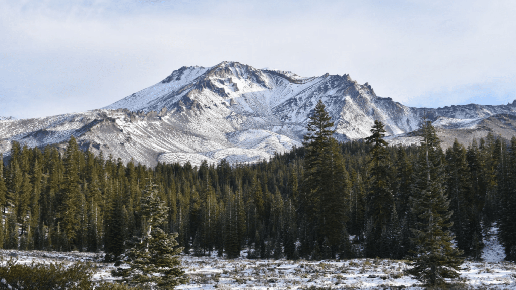 Mount Shasta