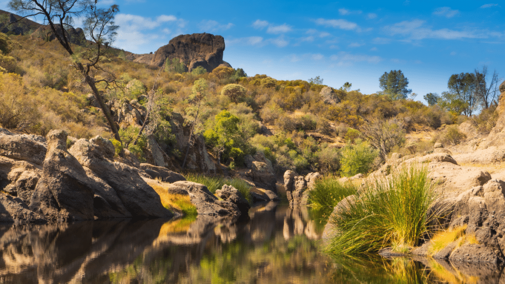 Pinnacles National Park, West Coast, California
