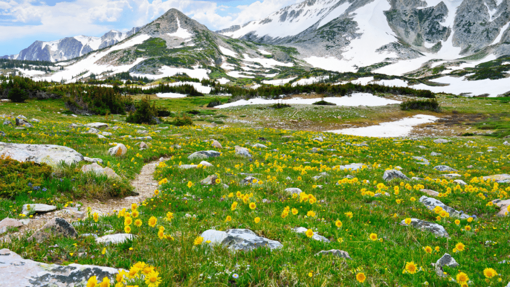 Snowy Range, Wyoming