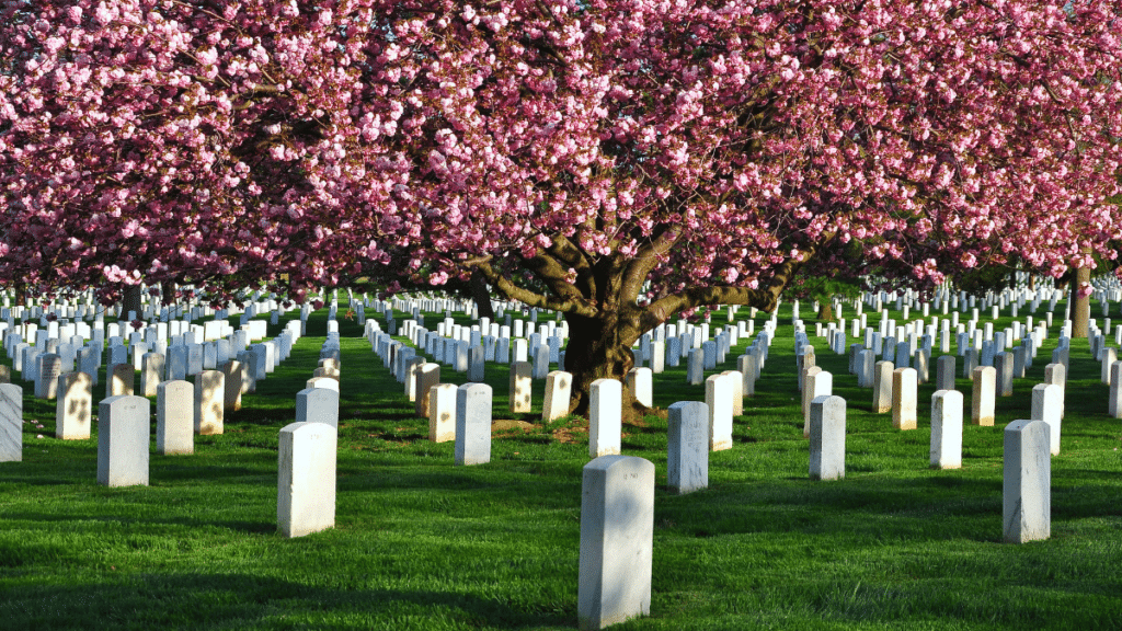 Arlington National Cemetery, Virginia