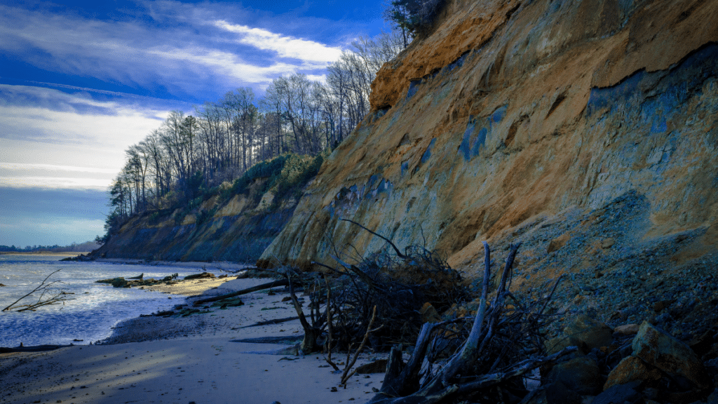 Calvert Cliffs State Park, Maryland