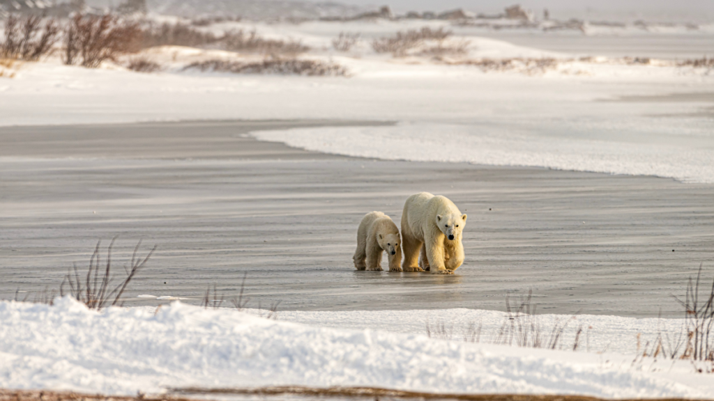 Churchill, Manitoba