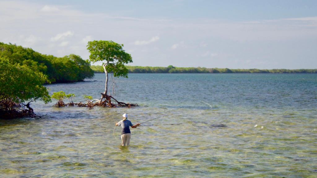 Fly fishing off Islamorada in the Florida Keys