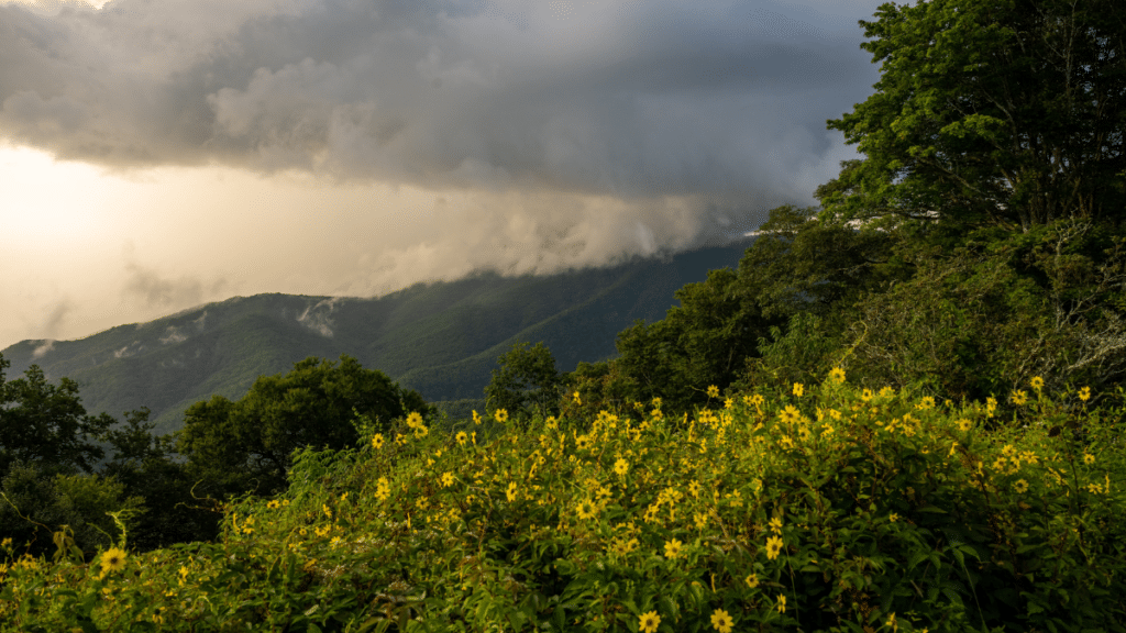 Great Smoky Mountains, North Carolina-Tennessee