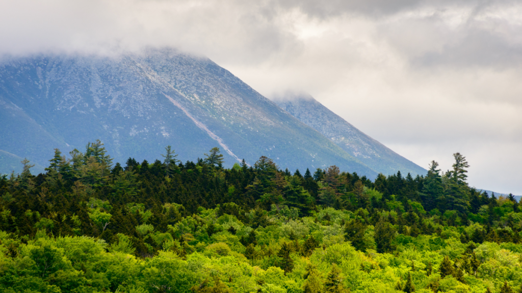 Katahdin Woods and Waters National Monument
