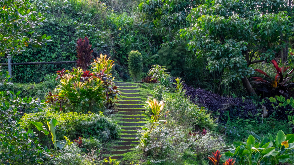 Princeville Botanical Gardens