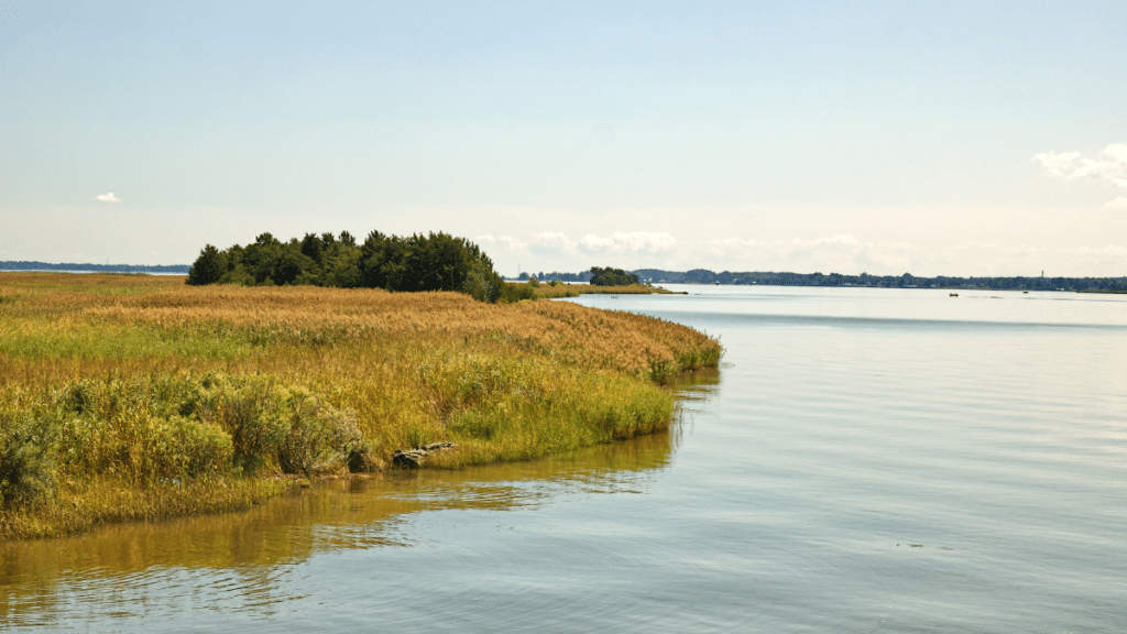 Rappahannock River, Virginia