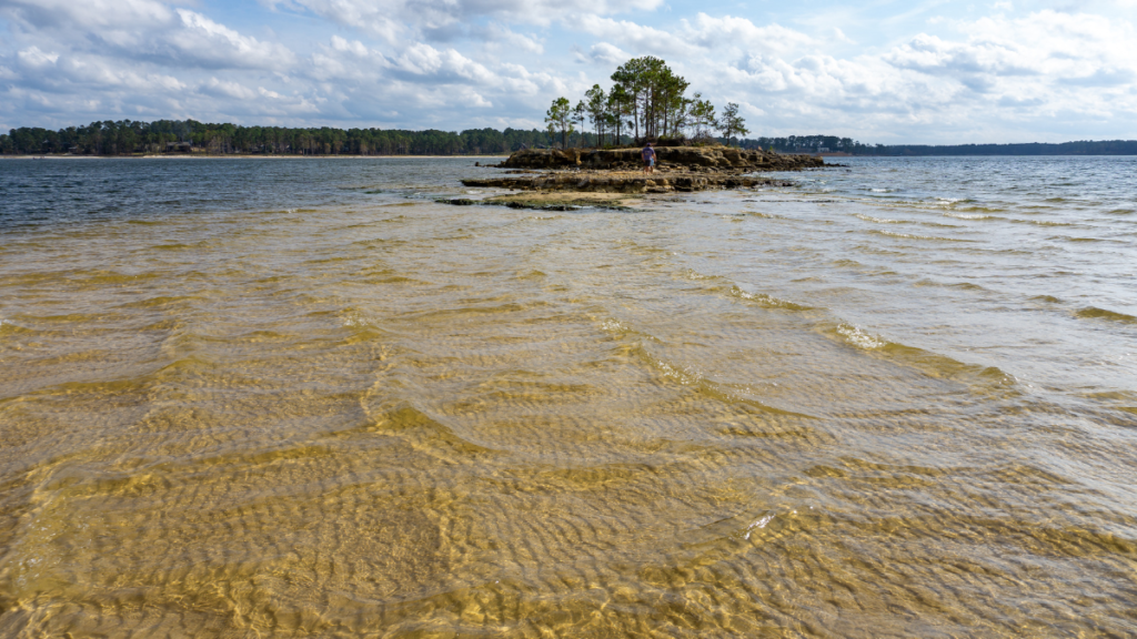 Sam Rayburn Reservoir in Texas