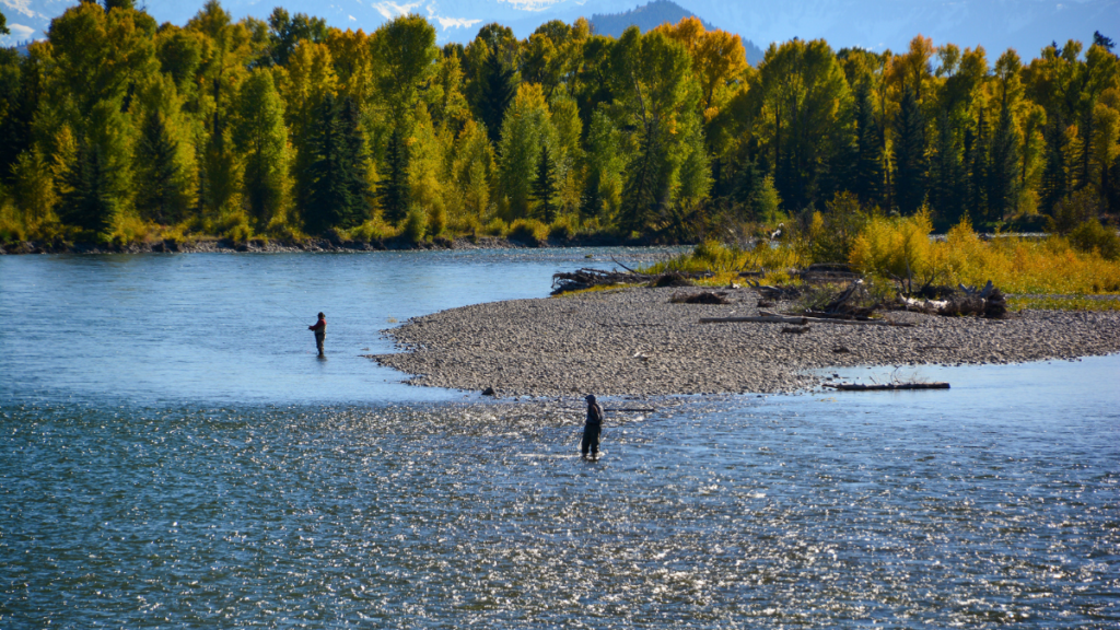 Snake River, Wyoming (Fly Fishing)