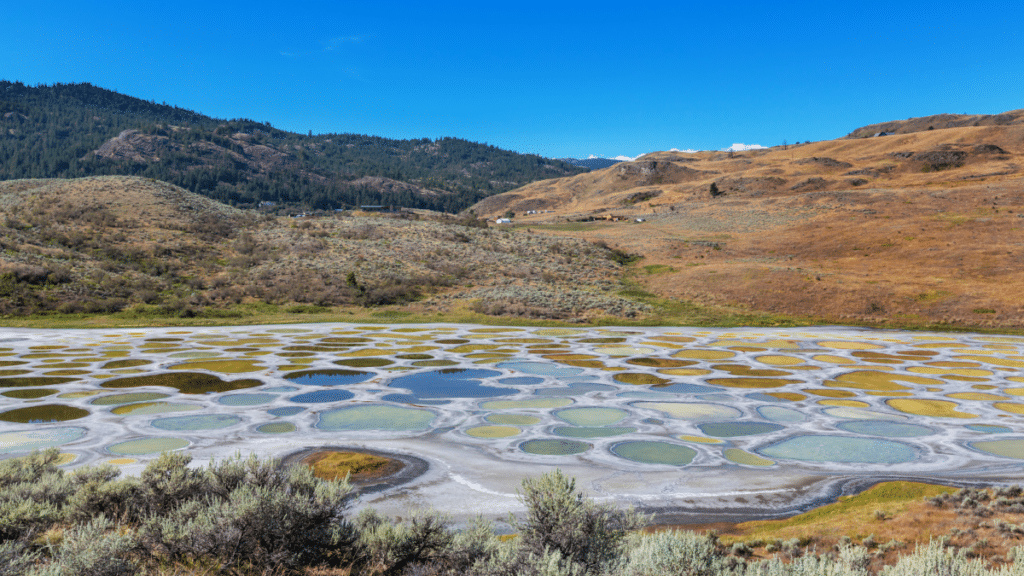 Spotted Lake– British Columbia, Canada