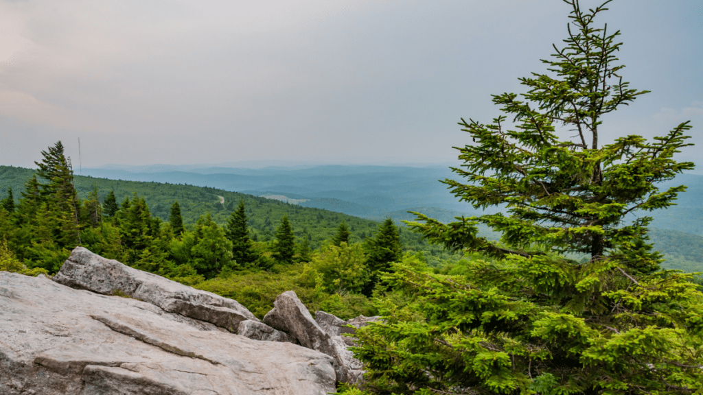 Spruce Knob Mountain West Virginia