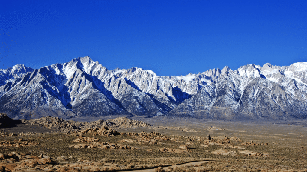 White Mountains, California