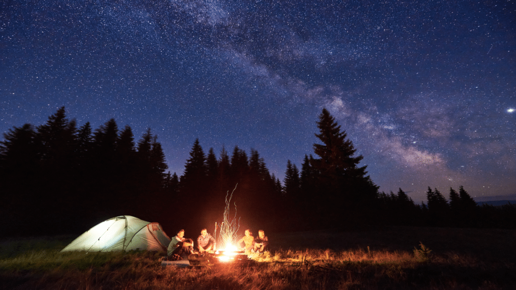 Night camping near bright fire in spruce forest